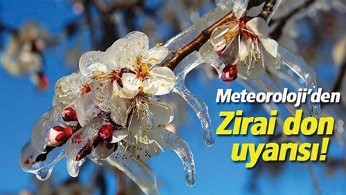 12 Nisan Meteoroloji'den Zirai Don Uyarısı